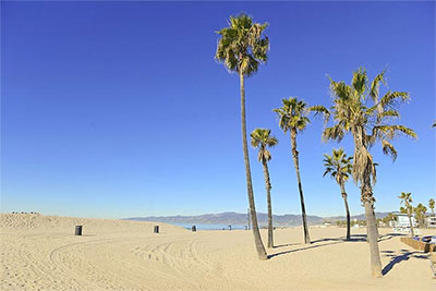 Beginnings-Treatment-Center-Southern-California-Beach-with-Palm-Trees-177485633