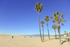 Beginnings Treatment Center Southern California Beach with Palm Trees 177485633